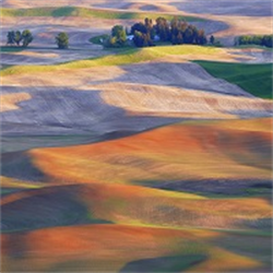 Painting of rolling hills