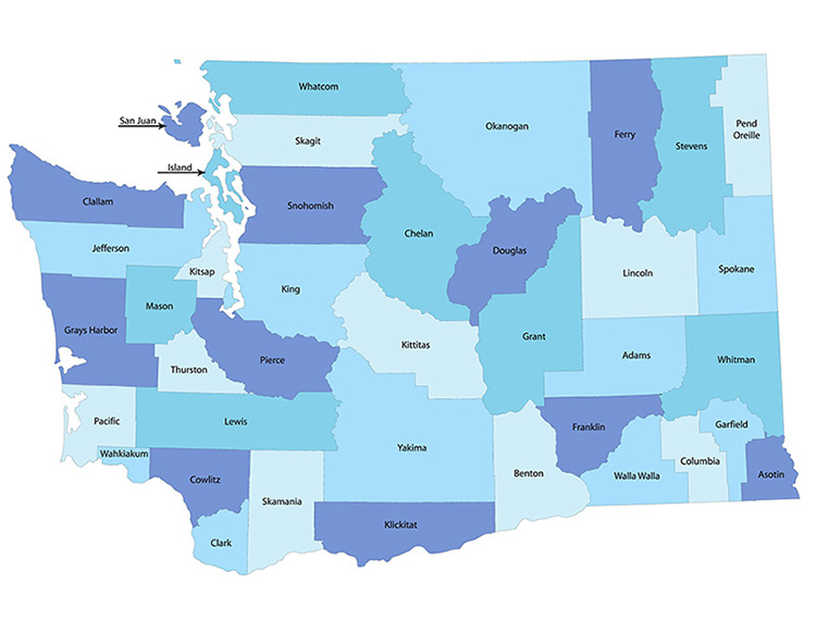 QLSP map