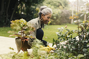 Retire GettyImages-878852070 An older woman gardening